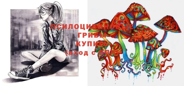 гидропоника Абаза