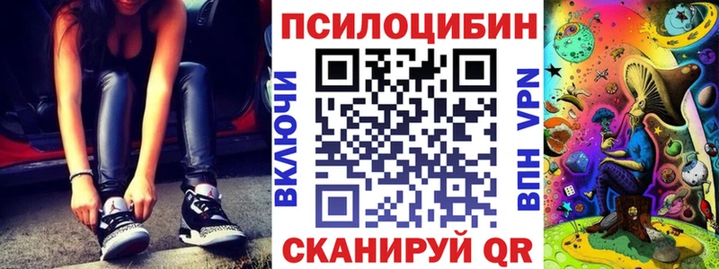 дарк нет наркотические препараты  где купить наркоту  Судогда  Псилоцибиновые грибы Magic Shrooms 