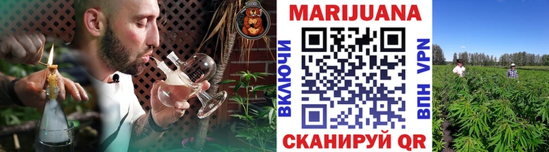 Конопля семена Судогда